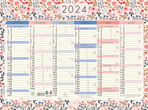 Exacompta - 34353E - Calendar Mini Labo cu decor fata-verso - 29,5 x 22 cm - Semestrial ianuarie - decembrie 2024